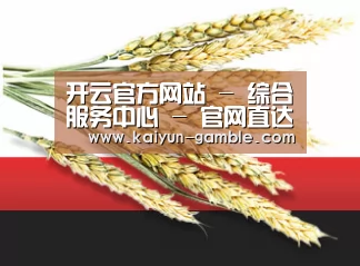 开云官方网站 - 综合服务中心 - 官网直达