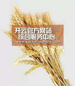 开云官方网站 - 综合服务中心 - 官网直达