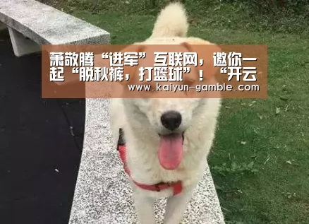 萧敬腾“进军”互联网,邀你一起“脱秋裤,打篮球”!“开云体育”(图3) 开云品牌